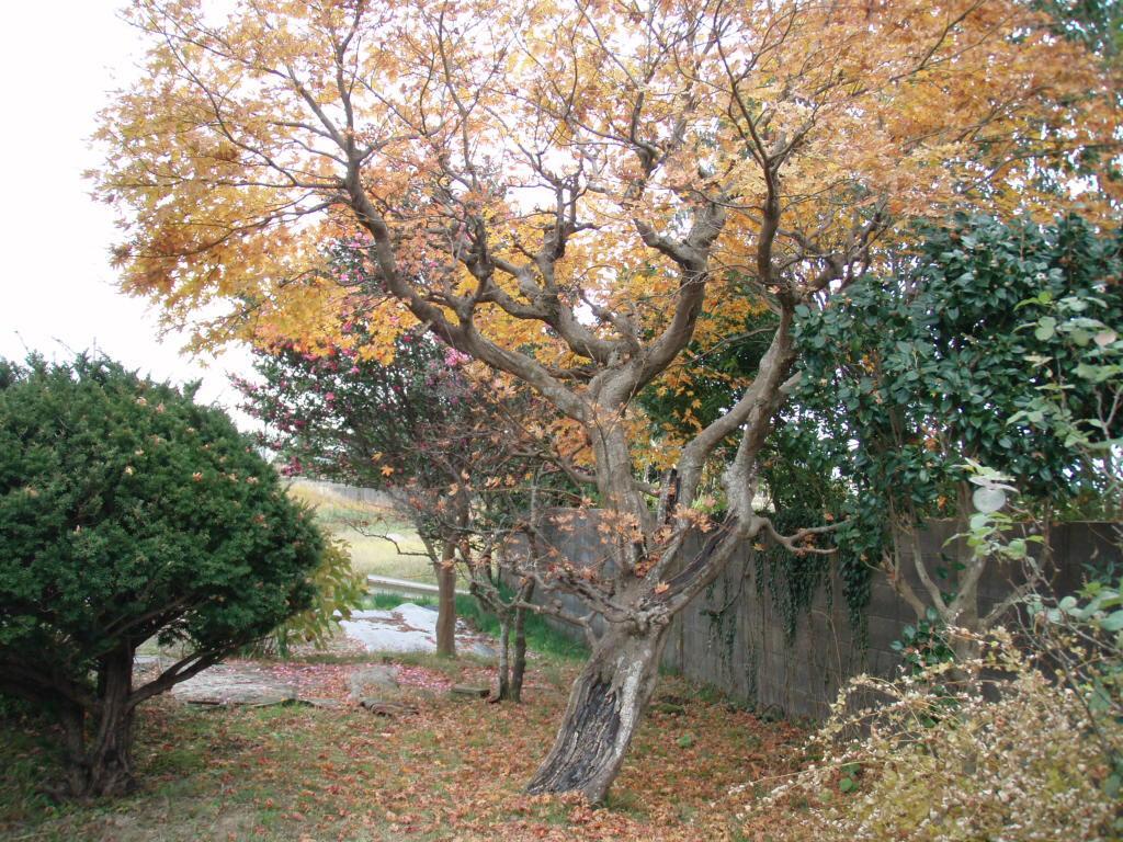 Guesthouse Hokkai นานาโอะ ภายนอก รูปภาพ