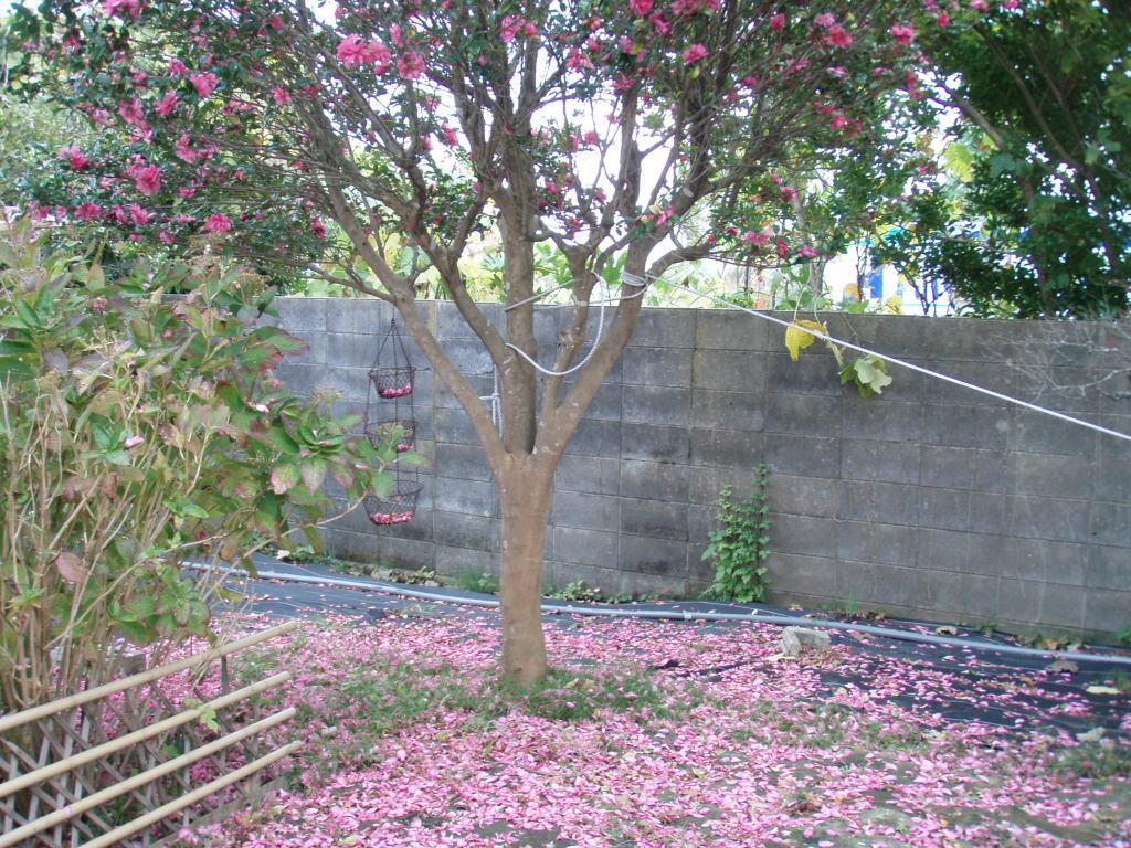 Guesthouse Hokkai นานาโอะ ภายนอก รูปภาพ